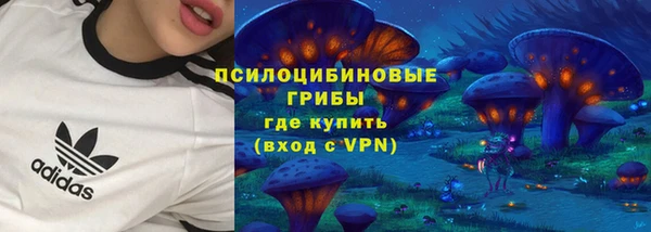 PSILOCYBIN Абинск