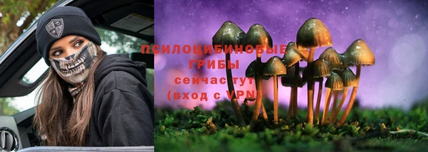 ALPHA PVP Алексеевка