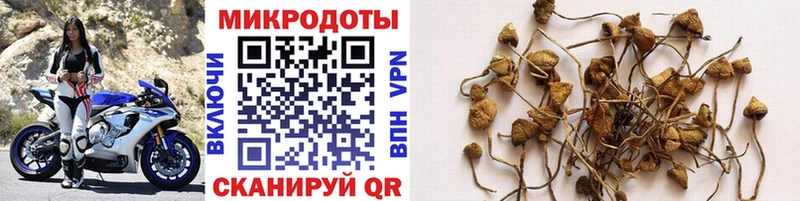 Галлюциногенные грибы MAGIC MUSHROOMS  гидра ССЫЛКА  Майский  купить наркотики цена 